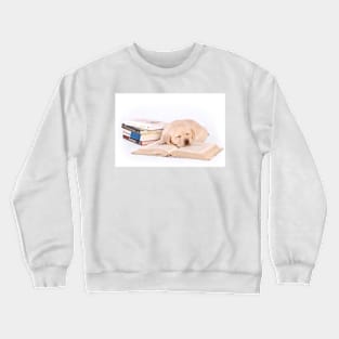 Sleeping labrador puppy with books Crewneck Sweatshirt